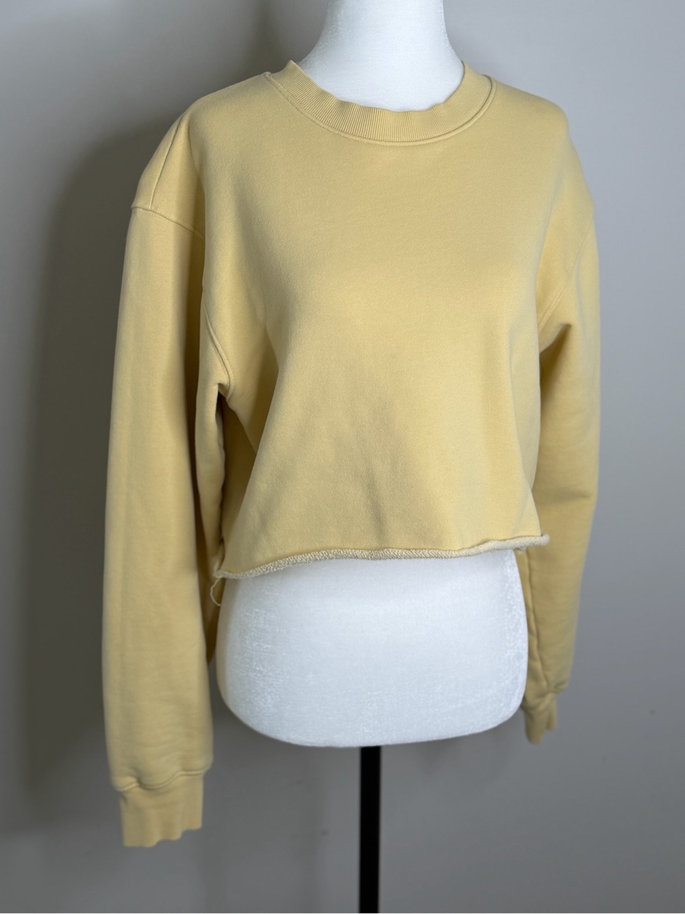 TNA Cropped Crewneck Sweatshirt in Pale Yellow